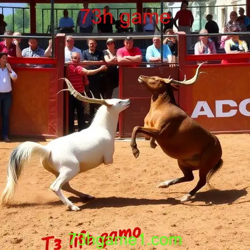 Rinha de galos